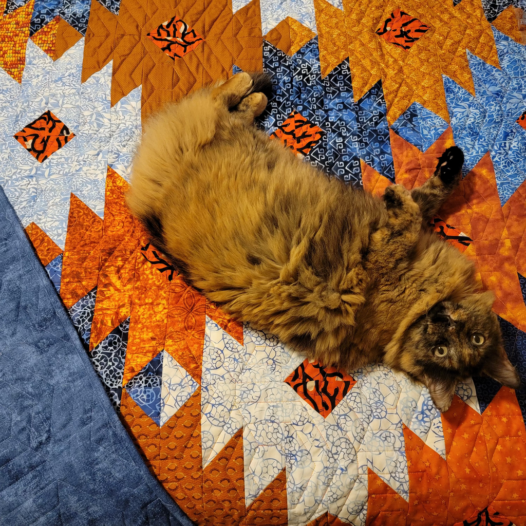 Orange and blue ikat print quilt in a honeycomb print with a brown cat laid on it.