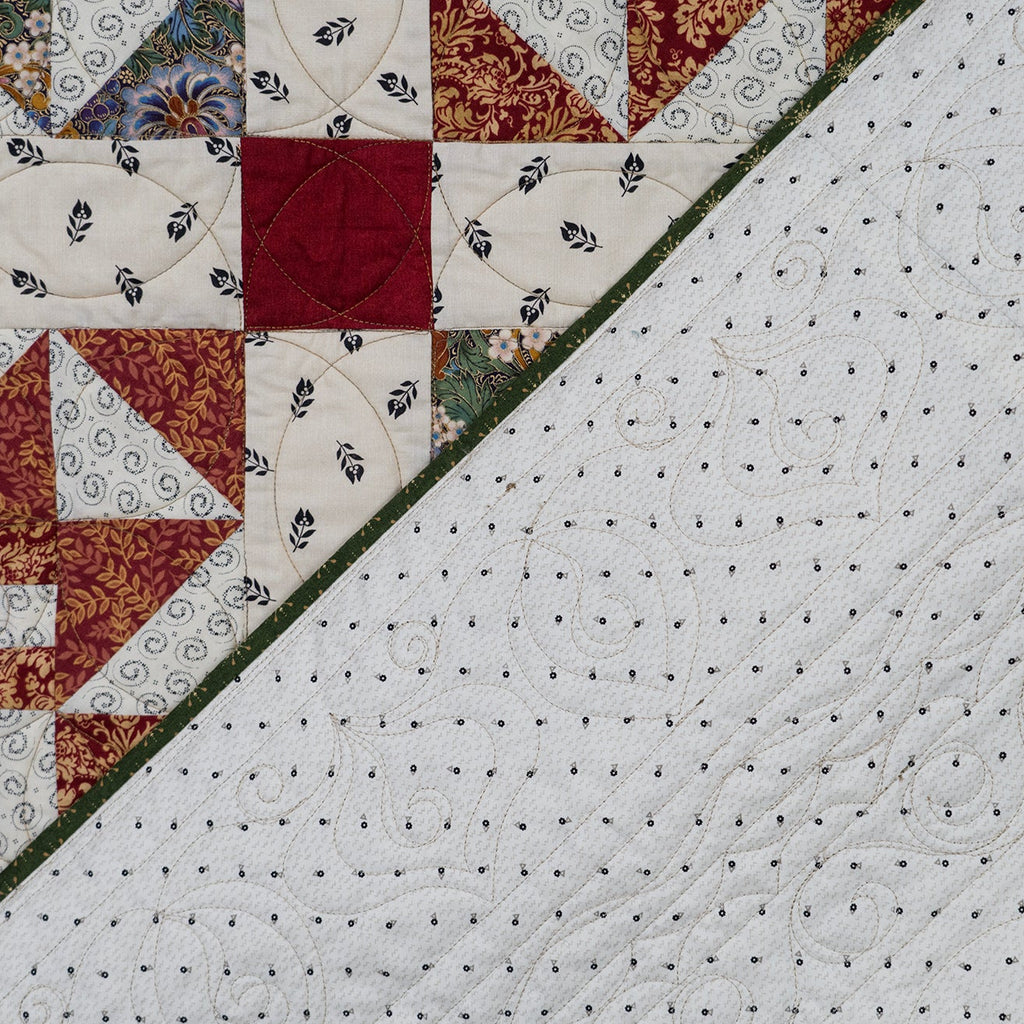 Quilt backing in a polkadot print with the main missouri print in the background